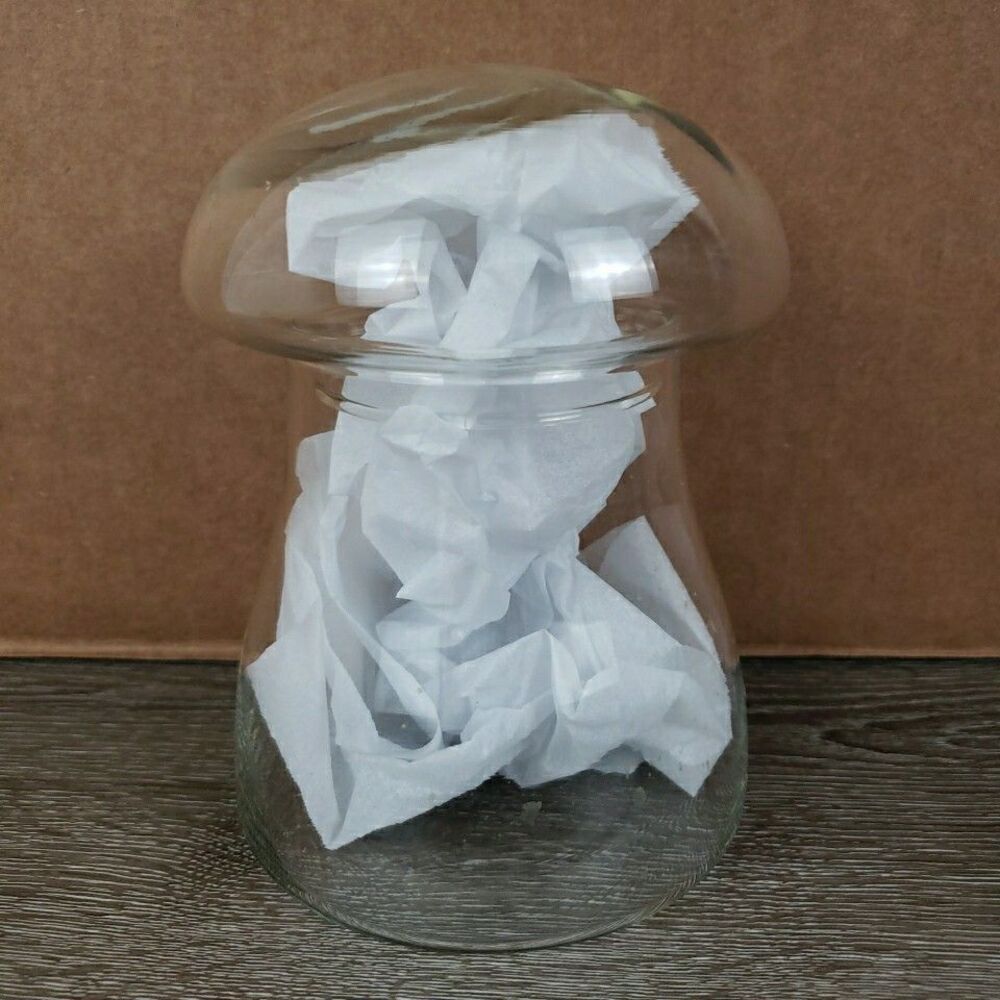 Vintage 70’s Libbey Mushroom Glass Jar Terrarium Canister Crystal Creations 6"